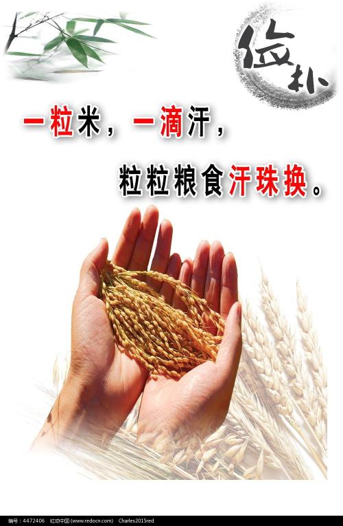 哪里可以制作澳大利亚联邦大学文凭毕业证